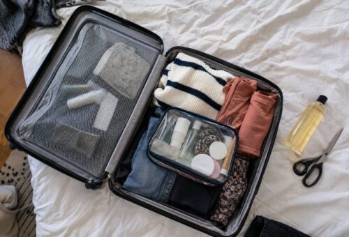 Un bagage cabine