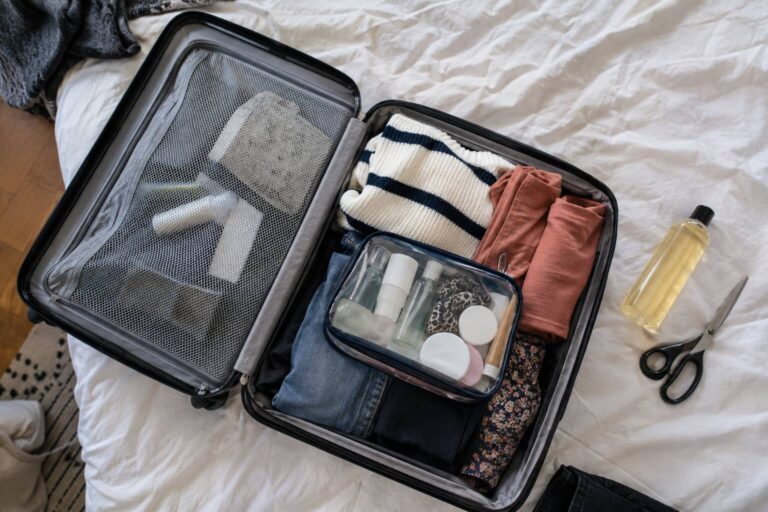 Un bagage cabine